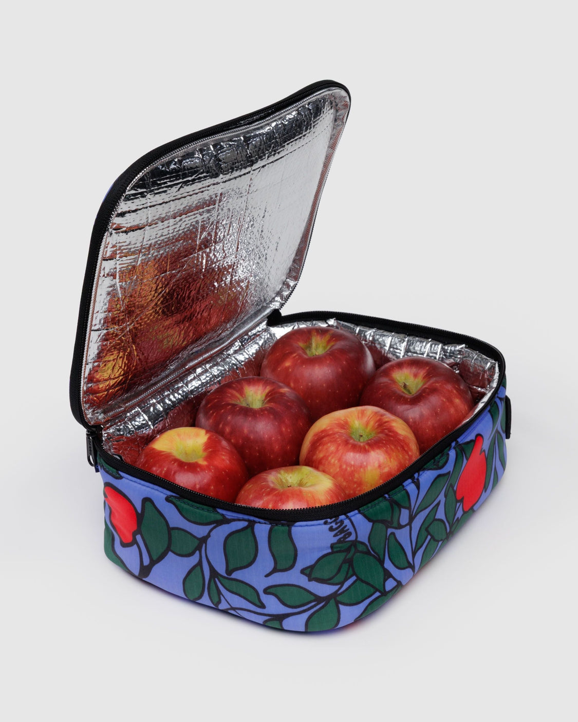 Lunch Box - Apple Tree - Bright Utility Organizer